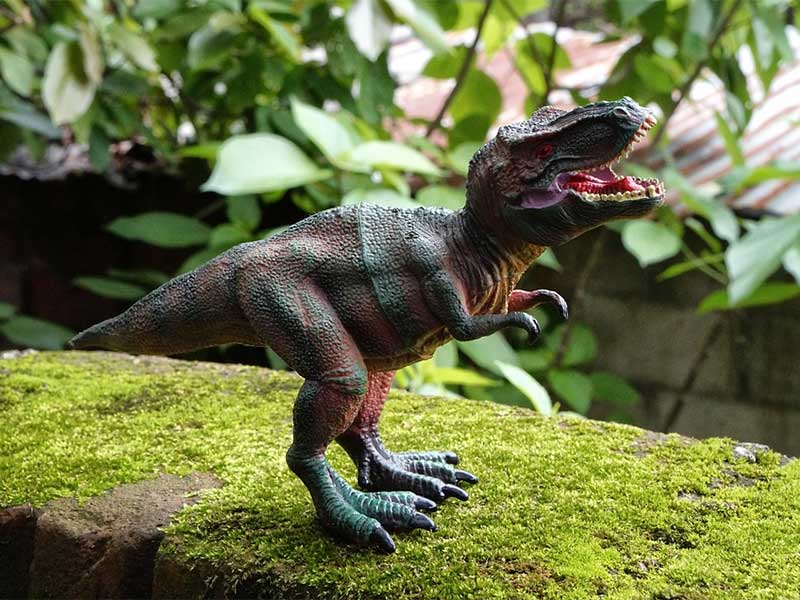 Tiranosaurios Rex - Cuentos de dinosaurios