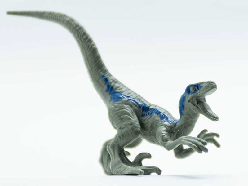 Velociraptor - Cuentos de dinosaurios para niños