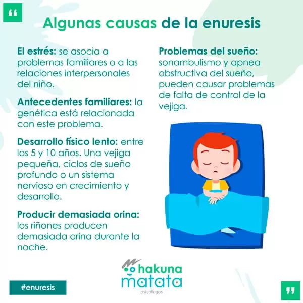 Causas de la enuresis
