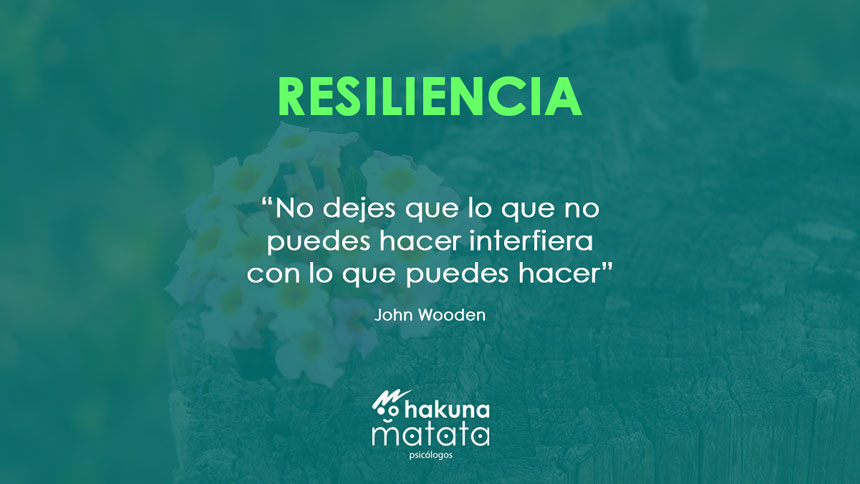 Significado de resiliencia