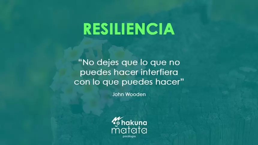 Significado de resiliencia