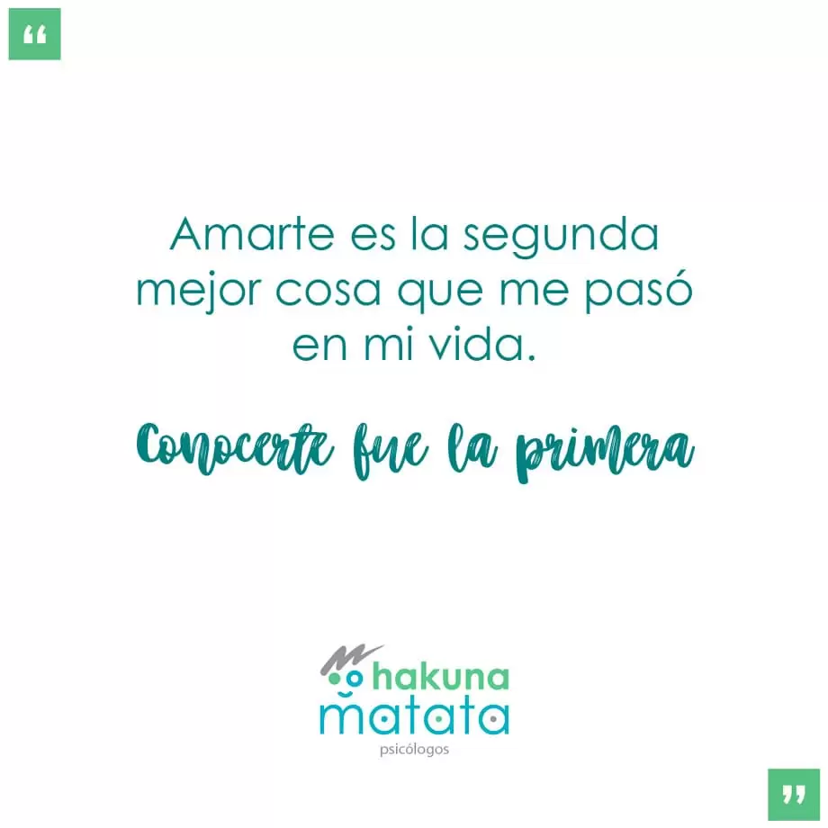 Frase de amor compañeros