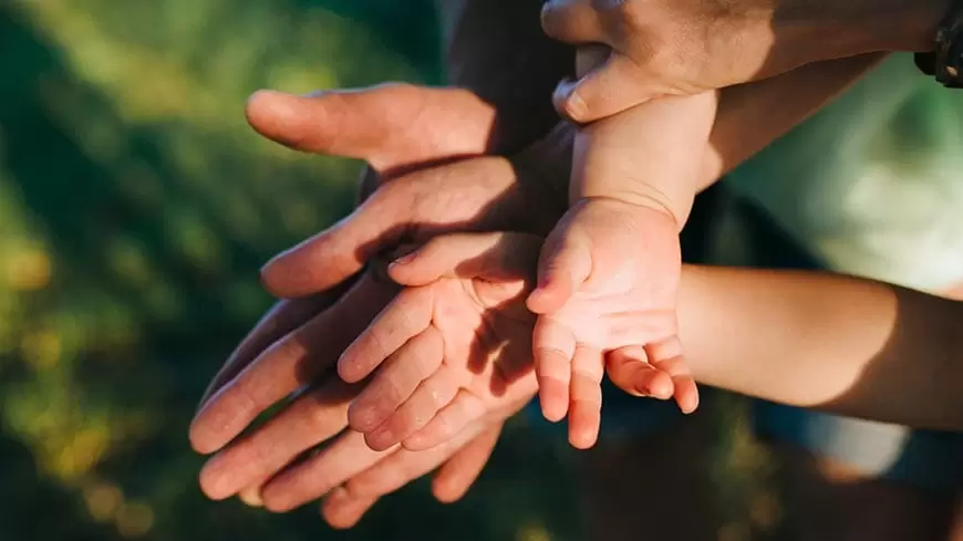 Cuáles son los tipos de familia que existen y sus características