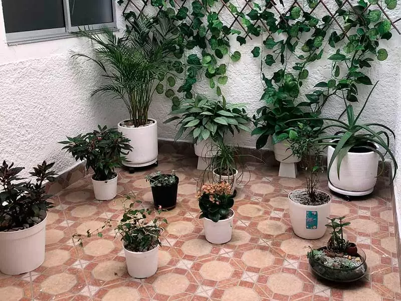 Sede Hakuna Psicólogos - Centro Psicológico Medellín